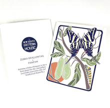 Load image into Gallery viewer, Zebra Swallowtail + Paw Paw- Notecard, Set of 3