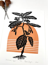 Load image into Gallery viewer, Jewelweed Copper-Mid-century Botanical Limited Edition block print 9X12