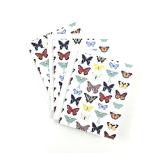 Load image into Gallery viewer, Moths and Butterflies of the Carolinas, Light Notecard, Set of 3