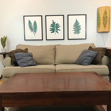 Load image into Gallery viewer, Set of 3 Native Southeastern Ferns, Limited Ed Block Prints, With 18x24 mat
