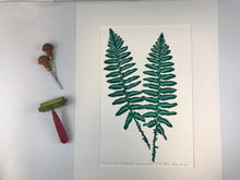 Load image into Gallery viewer, Christmas Fern, original block print, Limited Edition with 18x24 mat, Naturalist Art