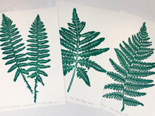 Load image into Gallery viewer, Christmas Fern, original block print, Limited Edition with 18x24 mat, Naturalist Art