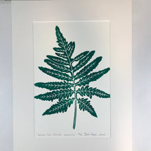 Load image into Gallery viewer, Sensitive Fern, original block print, Limited Edition with 18x24 mat, Naturalist Art