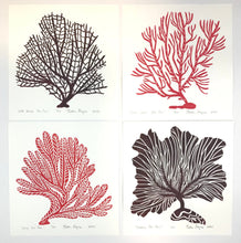 Load image into Gallery viewer, Sea Fans of the Atlantic, Set of 4 Hand Pulled Block prints with 12x12 inch mat