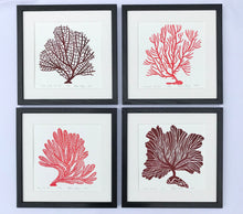 Load image into Gallery viewer, Common Sea Fan, Dark Red, Hand Pulled Block print with 12x12 inch mat
