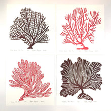 Load image into Gallery viewer, Sea Fans of the Atlantic, Set of 4 Hand Pulled Block prints with 12x12 inch mat