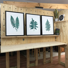 Load image into Gallery viewer, Set of 3 Native Southeastern Ferns, Limited Ed Block Prints, With 18x24 mat