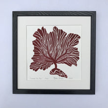 Load image into Gallery viewer, Common Sea Fan, Dark Red, Hand Pulled Block print with 12x12 inch mat