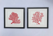 Load image into Gallery viewer, Spiny Sea Fan, Bright Red, Hand Pulled Block print with 12x12 inch mat