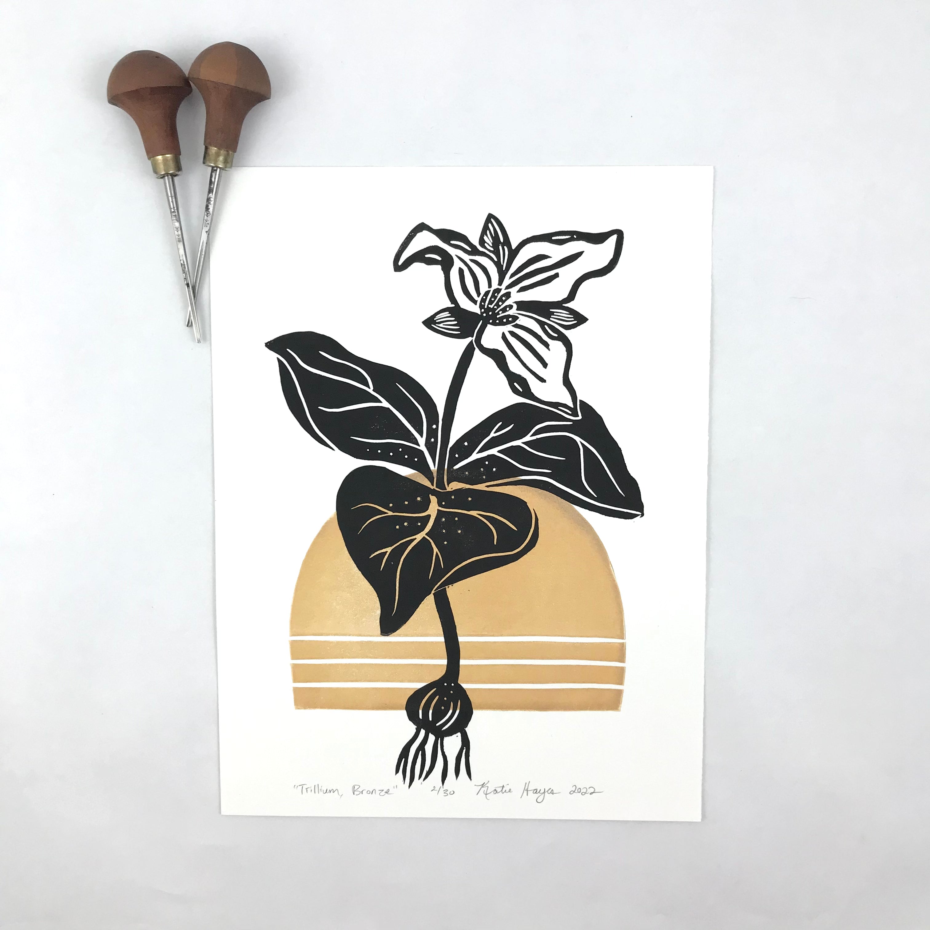 Pitcher Plant, Mid Century Botanical full color block print with