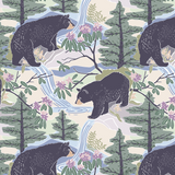 American Black Bear