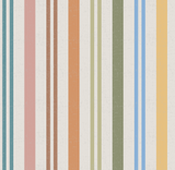 Expedition Rainbow Stripe
