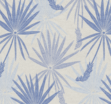 Saw Palmetto