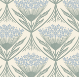 Queen Anne's Lace