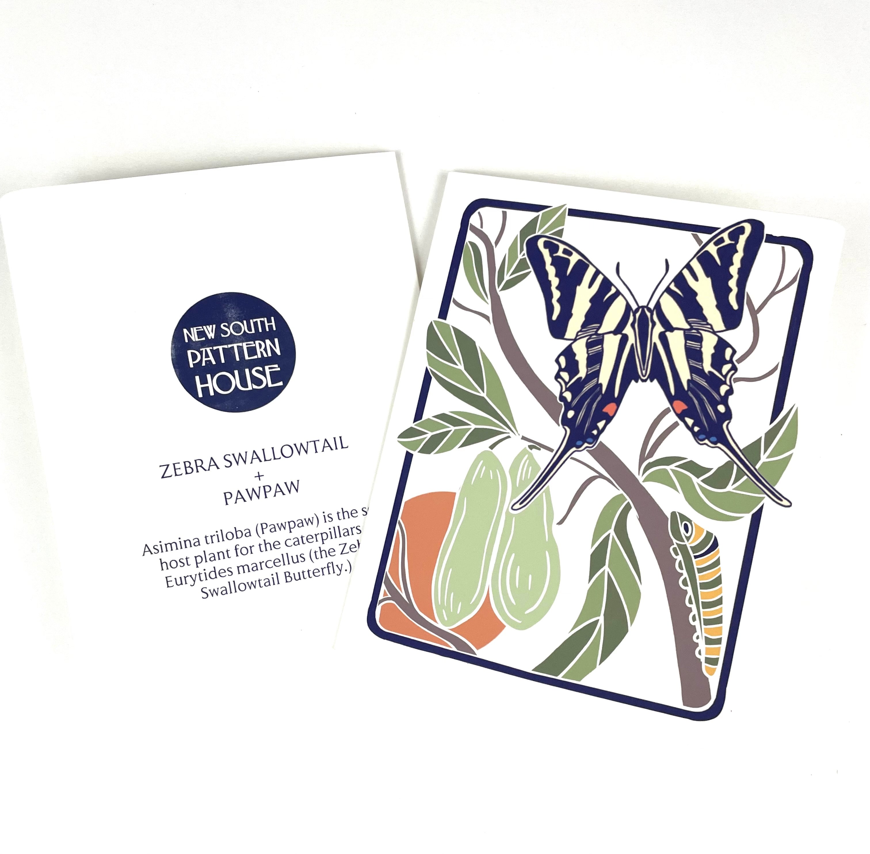 Zebra Swallowtail + Paw Paw- Notecard, Set of 3