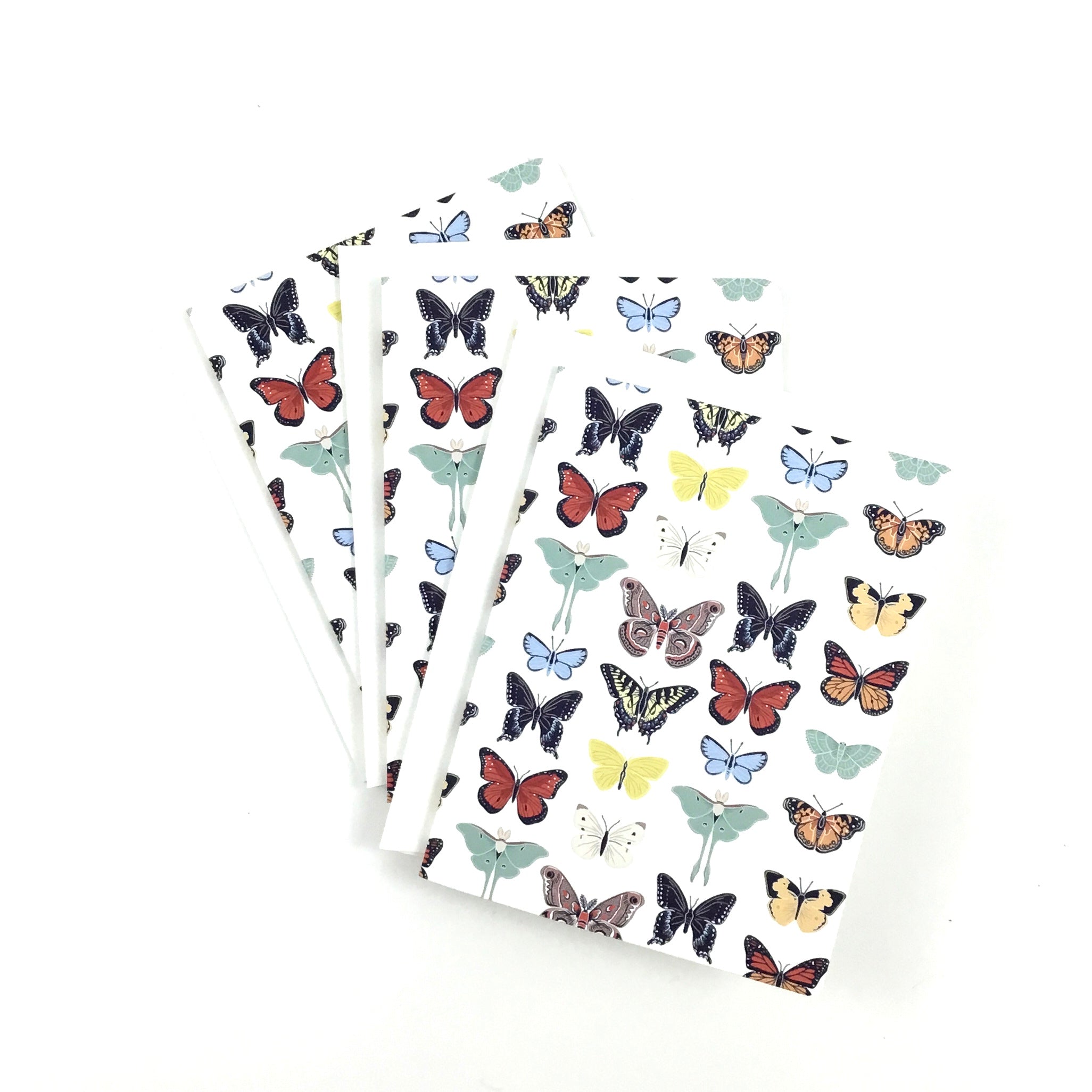 Moths and Butterflies of the Carolinas, Light - Notecard, Set of 3