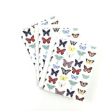 Moths and Butterflies of the Carolinas, Light - Notecard, Set of 3
