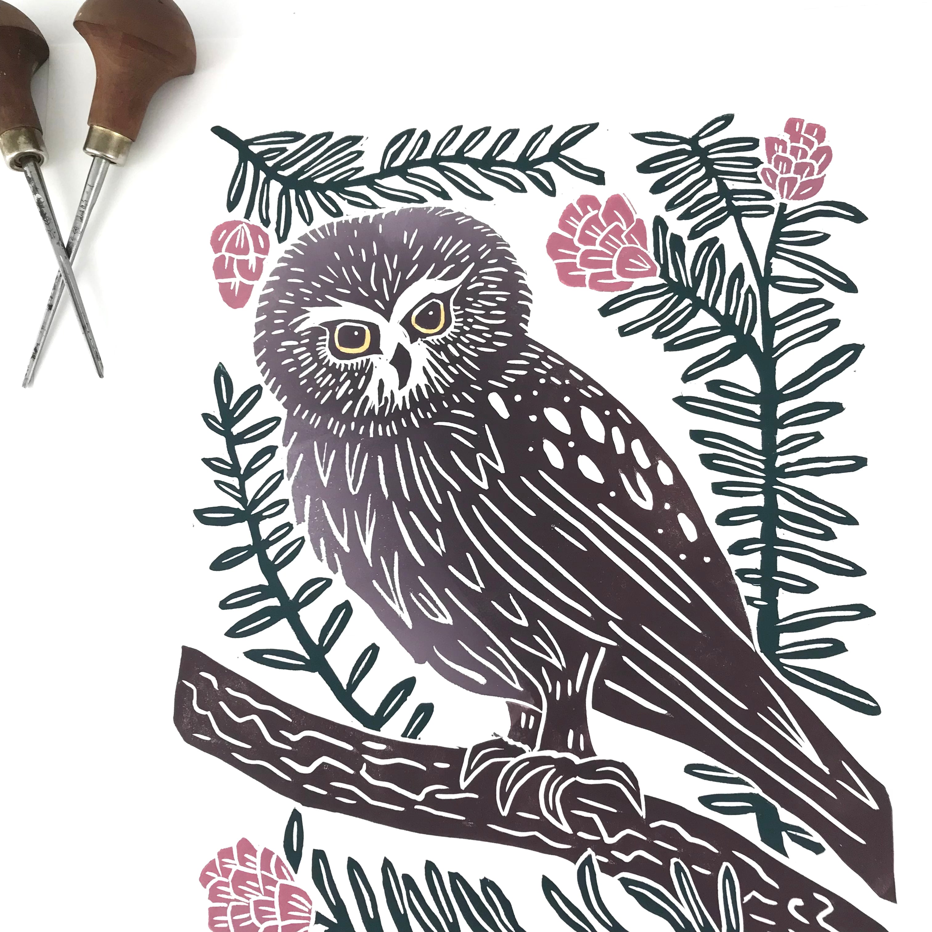 Saw-whet owl block print, Hand pulled with 13x19 mat