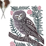 Saw-whet owl block print, Hand pulled with 13x19 mat