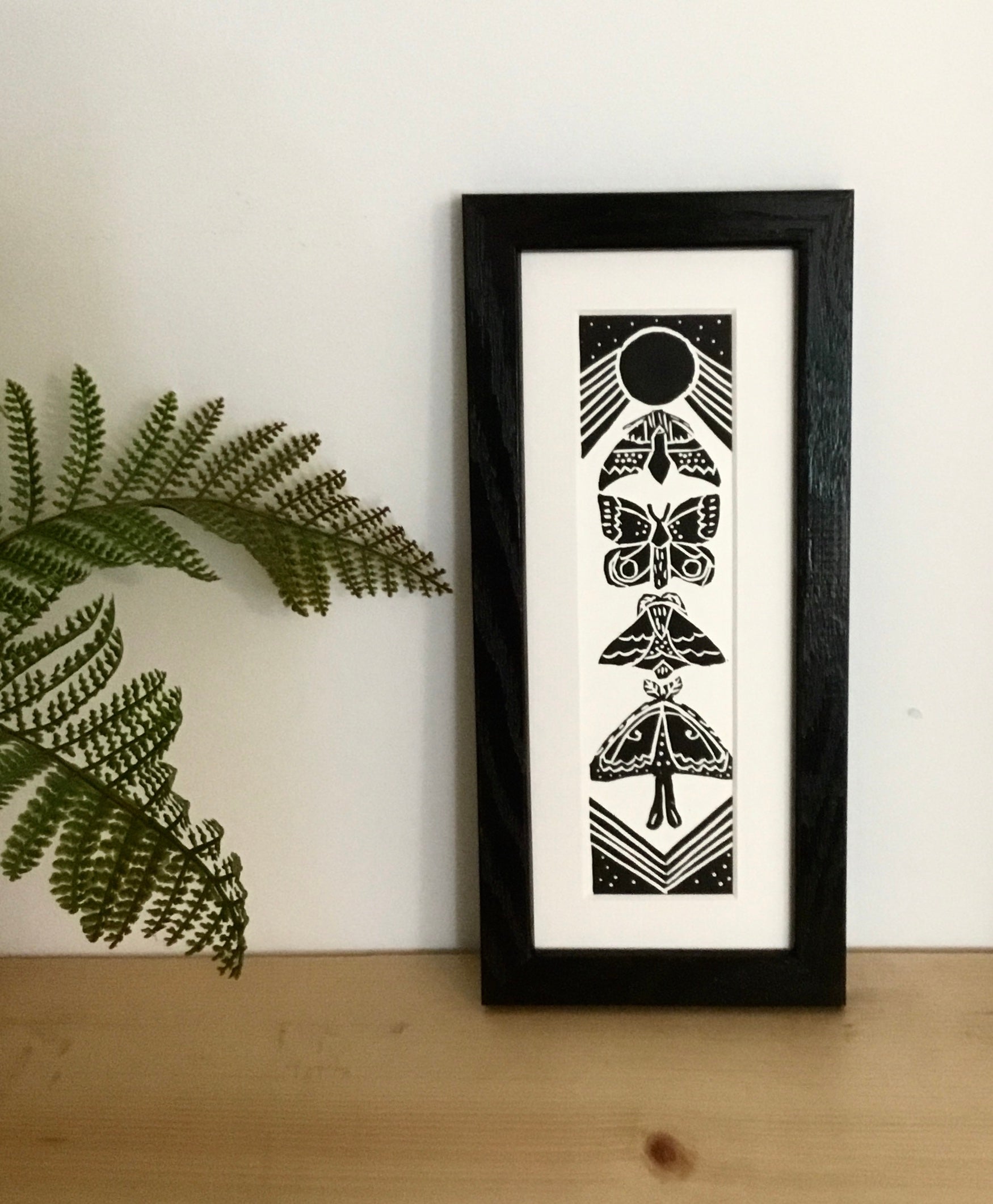 “Moths of the Carolinas” Framed Bookmark Print 2x8 inches