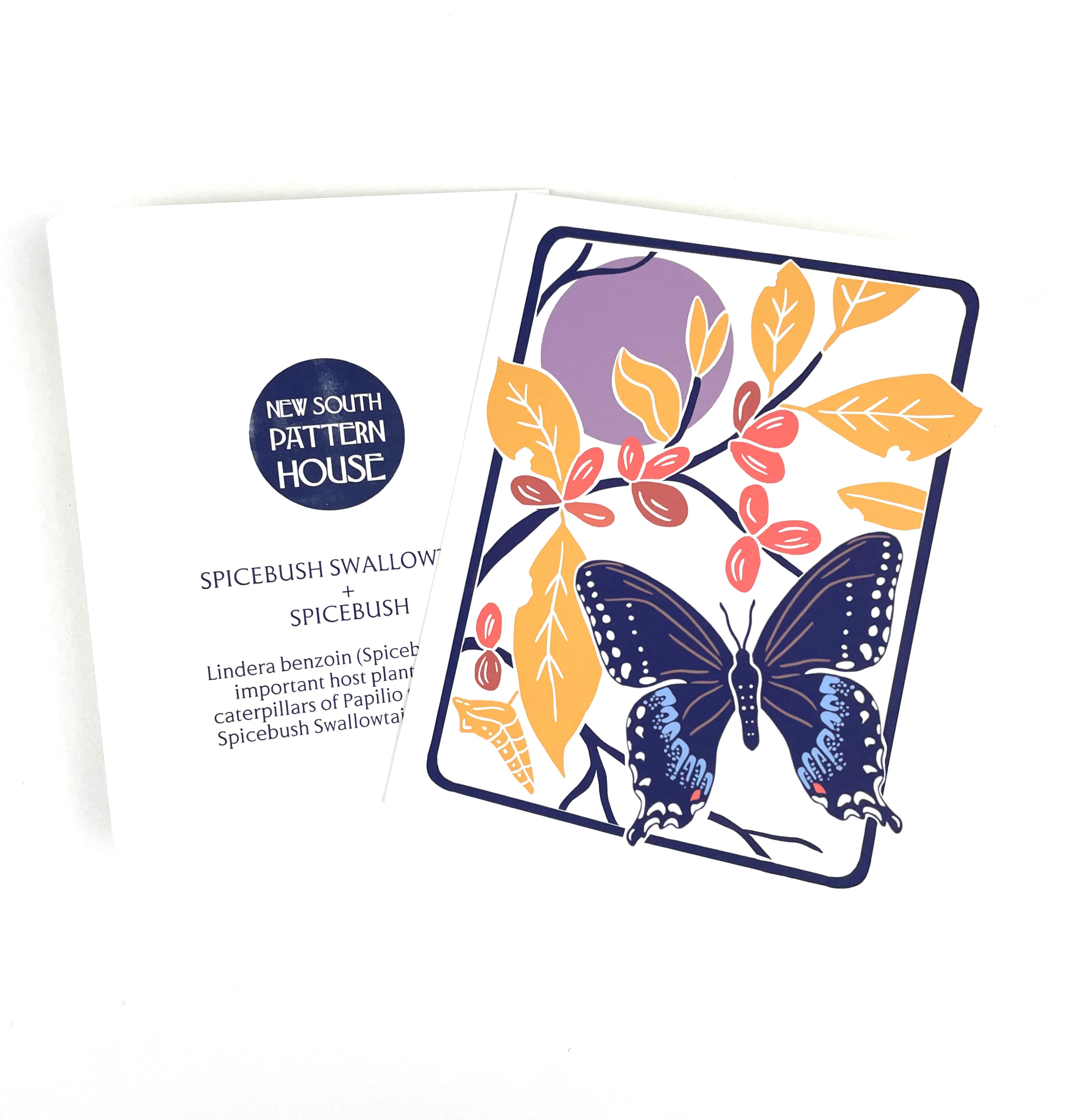 Spicebush Swallowtail + Spicebush- Notecard, Set of 3