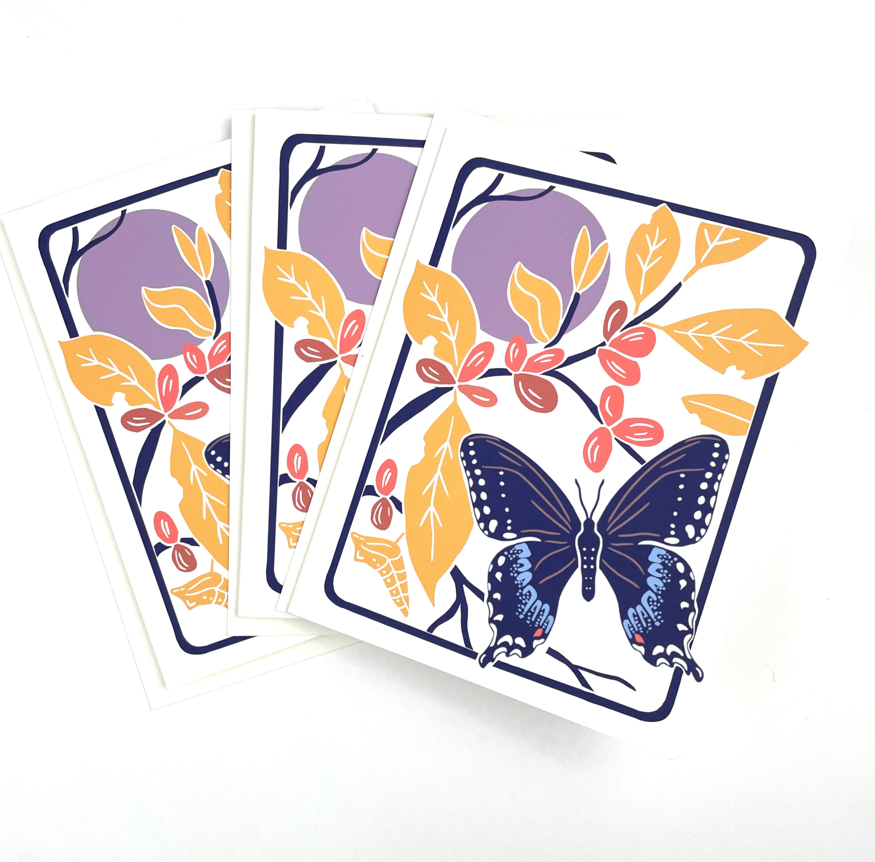 Spicebush Swallowtail + Spicebush- Notecard, Set of 3