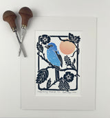 Indigo Bunting, Sunset Edition- Limited Edition of 45 prints