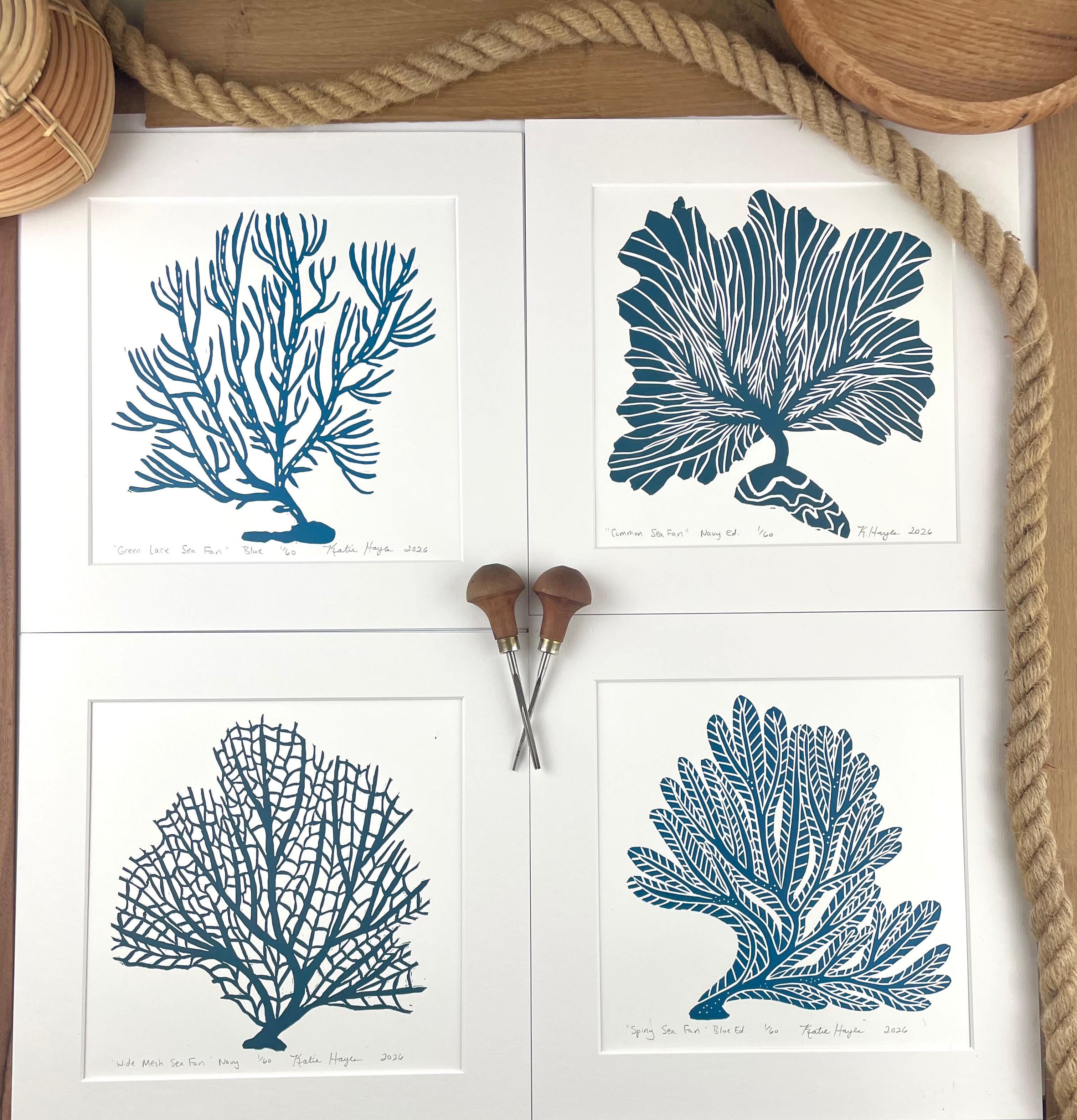 Spiny Sea Fan- Blue-  Limited Edition of 60 prints- Includes 12x12 inch matboard