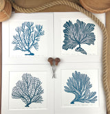 Spiny Sea Fan- Blue-  Limited Edition of 60 prints- Includes 12x12 inch matboard