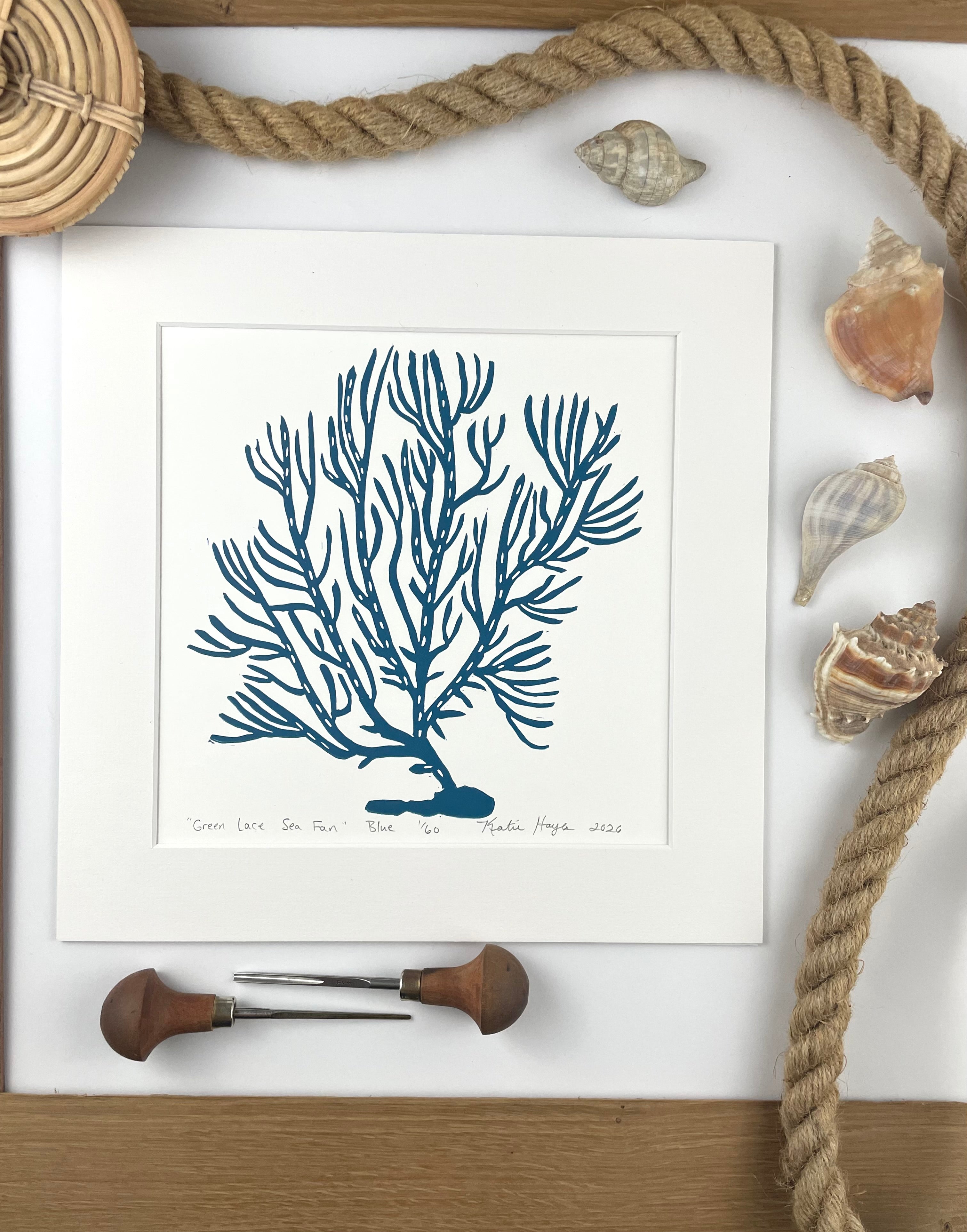 Green Lace Sea Fan- Blue- Limited Edition of 60 prints- Includes 12x12 inch matboard