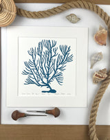 Green Lace Sea Fan- Blue- Limited Edition of 60 prints- Includes 12x12 inch matboard