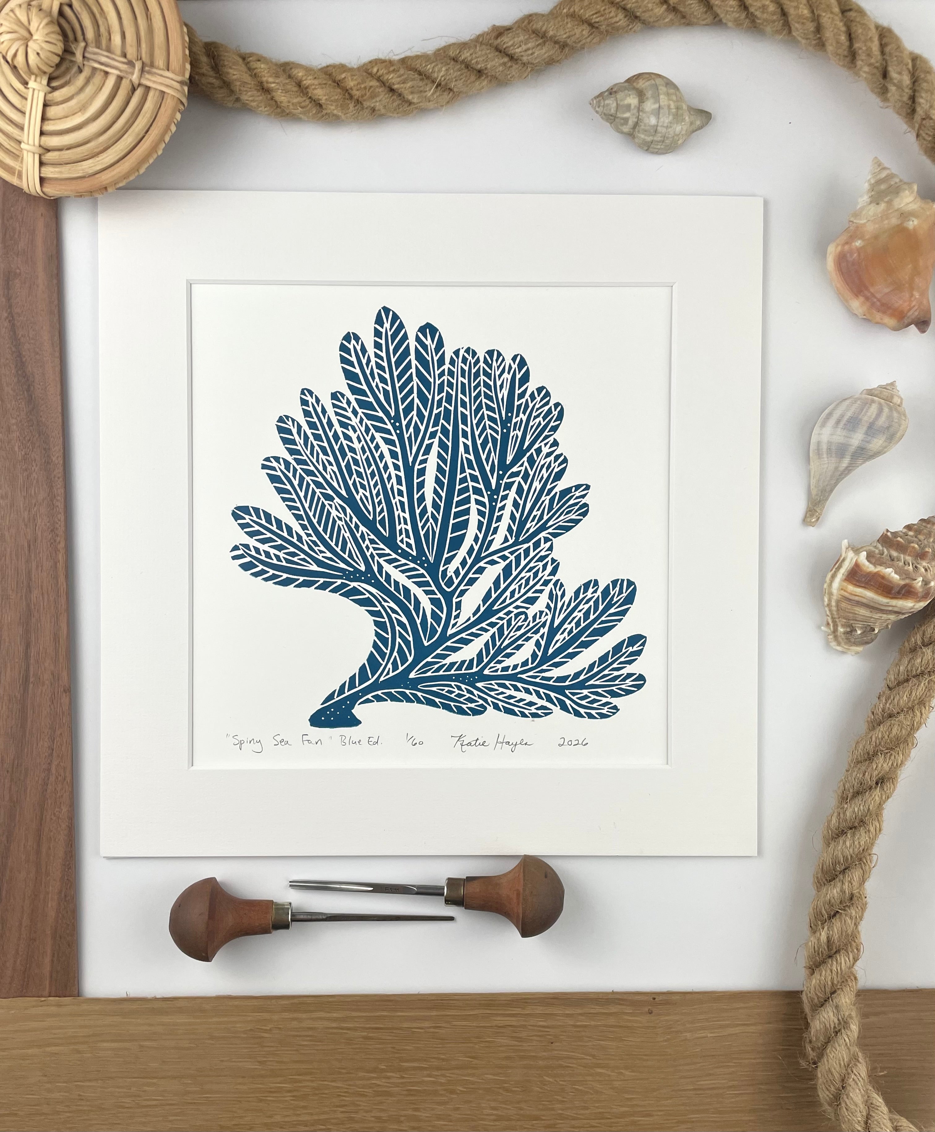 Spiny Sea Fan- Blue-  Limited Edition of 60 prints- Includes 12x12 inch matboard