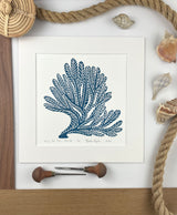 Spiny Sea Fan- Blue-  Limited Edition of 60 prints- Includes 12x12 inch matboard
