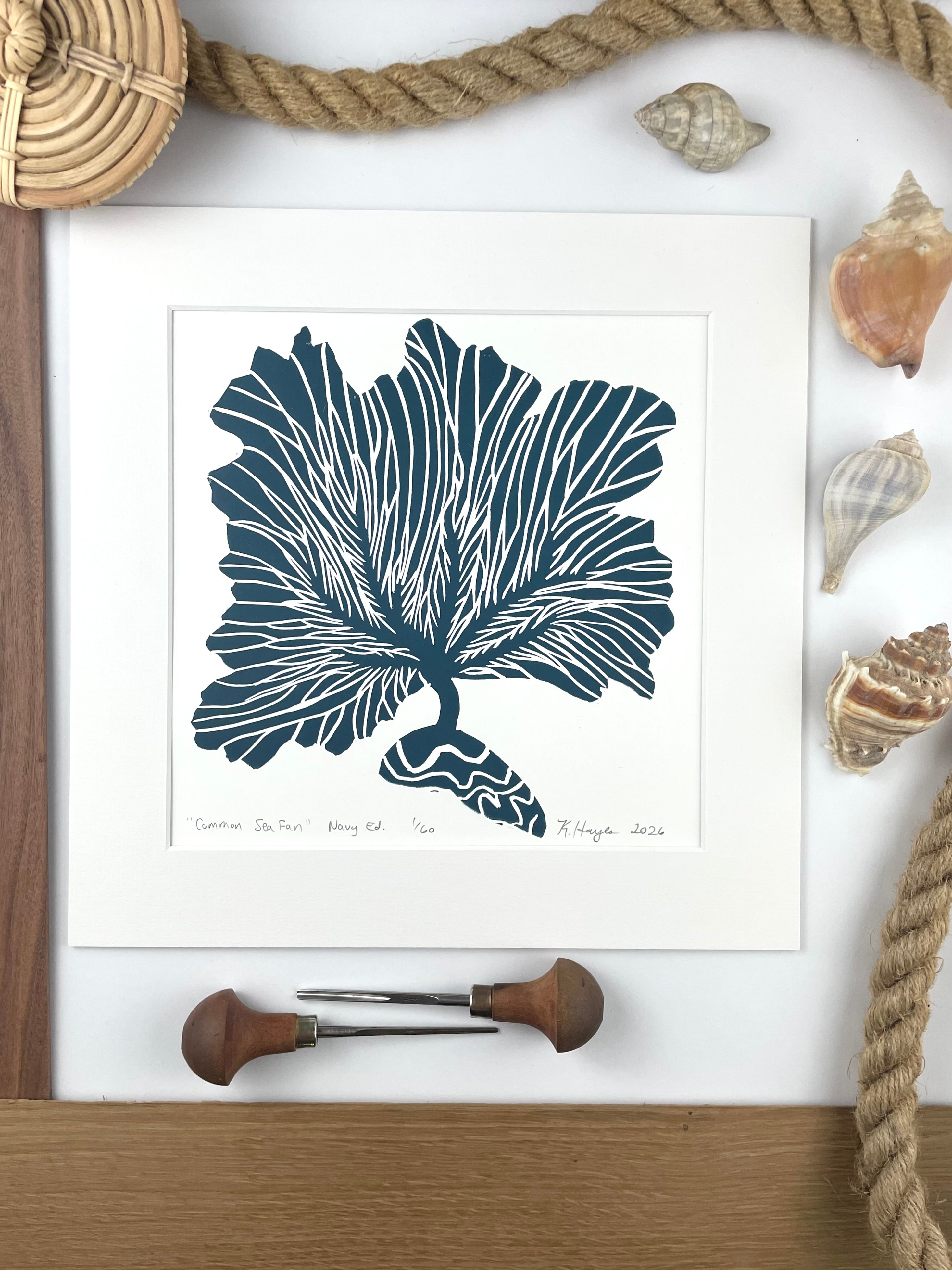 Common Sea Fan- Navy- Limited Edition of 60 prints- Includes 12x12 inch matboard