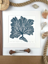 Common Sea Fan- Navy- Limited Edition of 60 prints- Includes 12x12 inch matboard