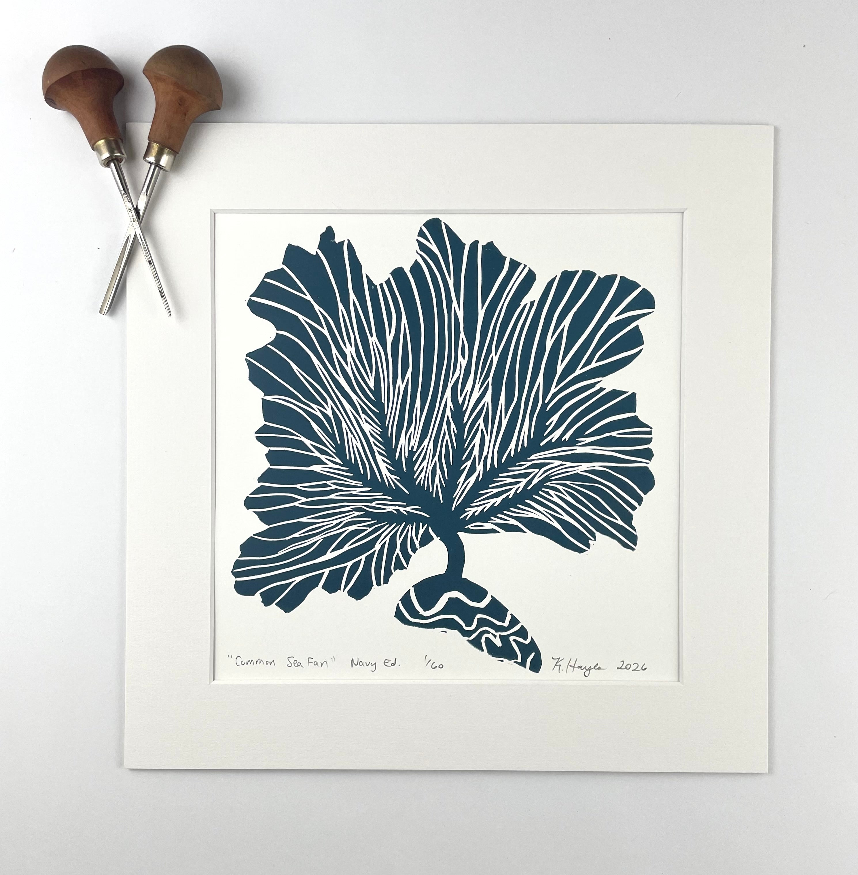 Common Sea Fan- Navy- Limited Edition of 60 prints- Includes 12x12 inch matboard