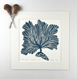Common Sea Fan- Navy- Limited Edition of 60 prints- Includes 12x12 inch matboard