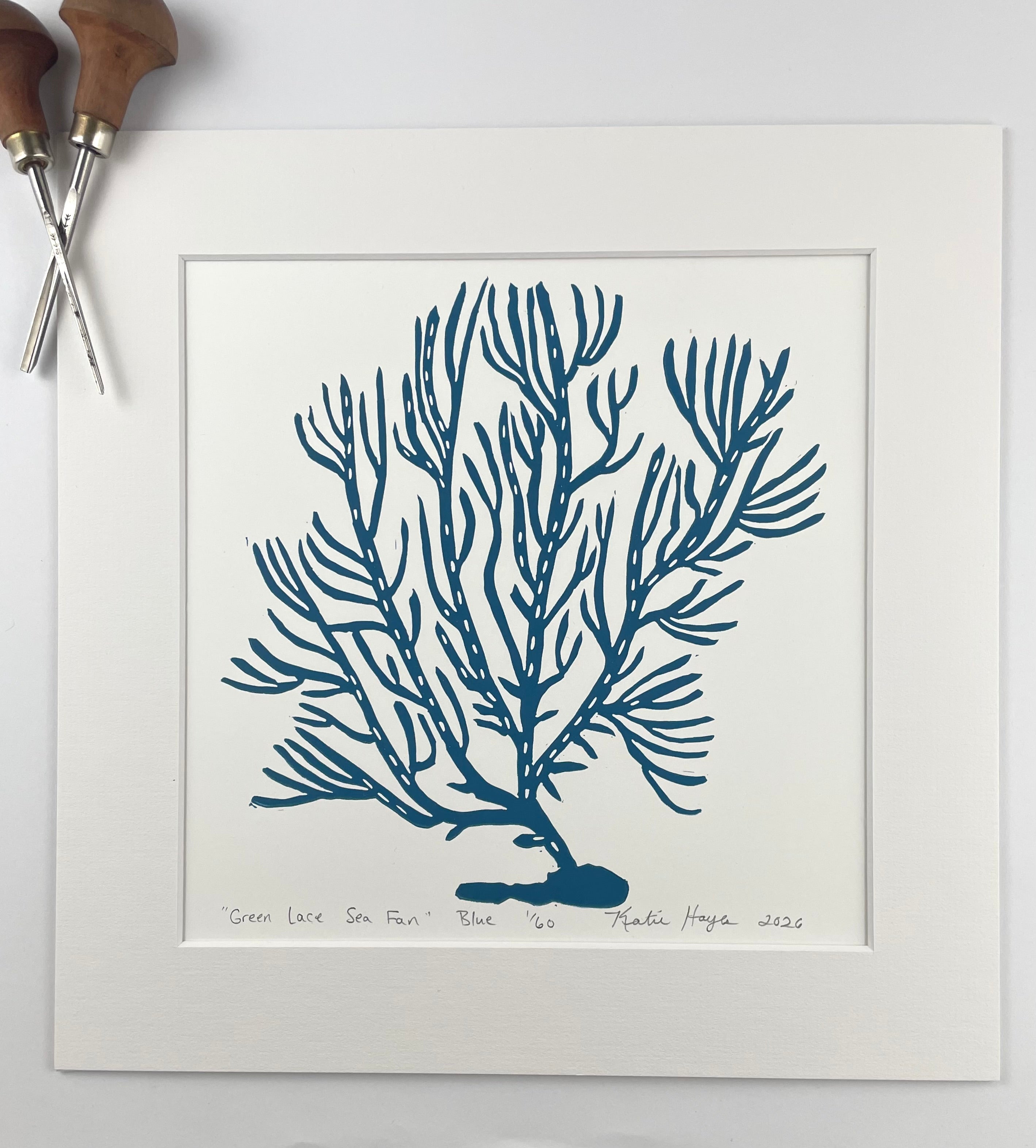 Green Lace Sea Fan- Blue- Limited Edition of 60 prints- Includes 12x12 inch matboard