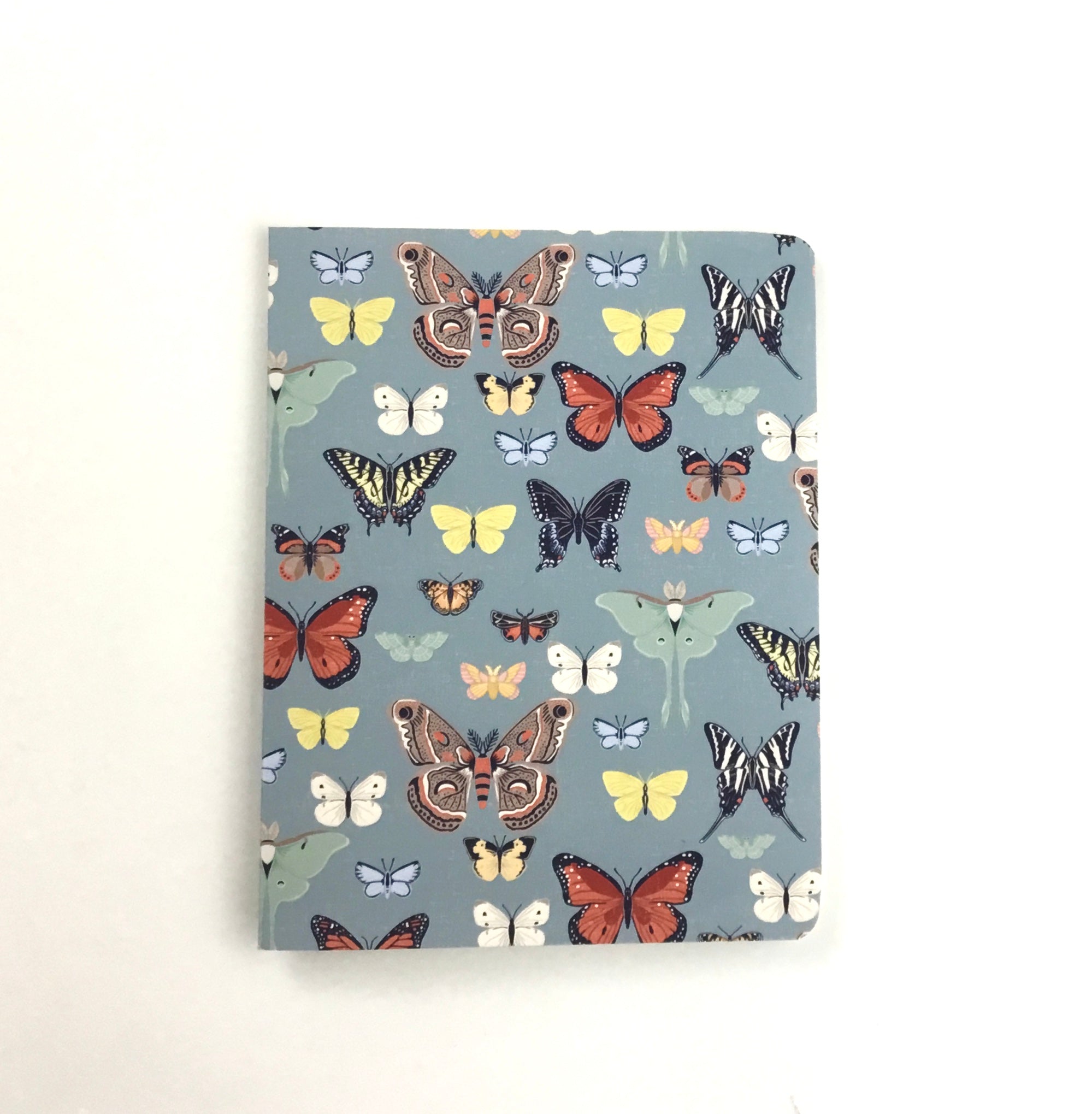 Specimen- Notecard, Set of 3