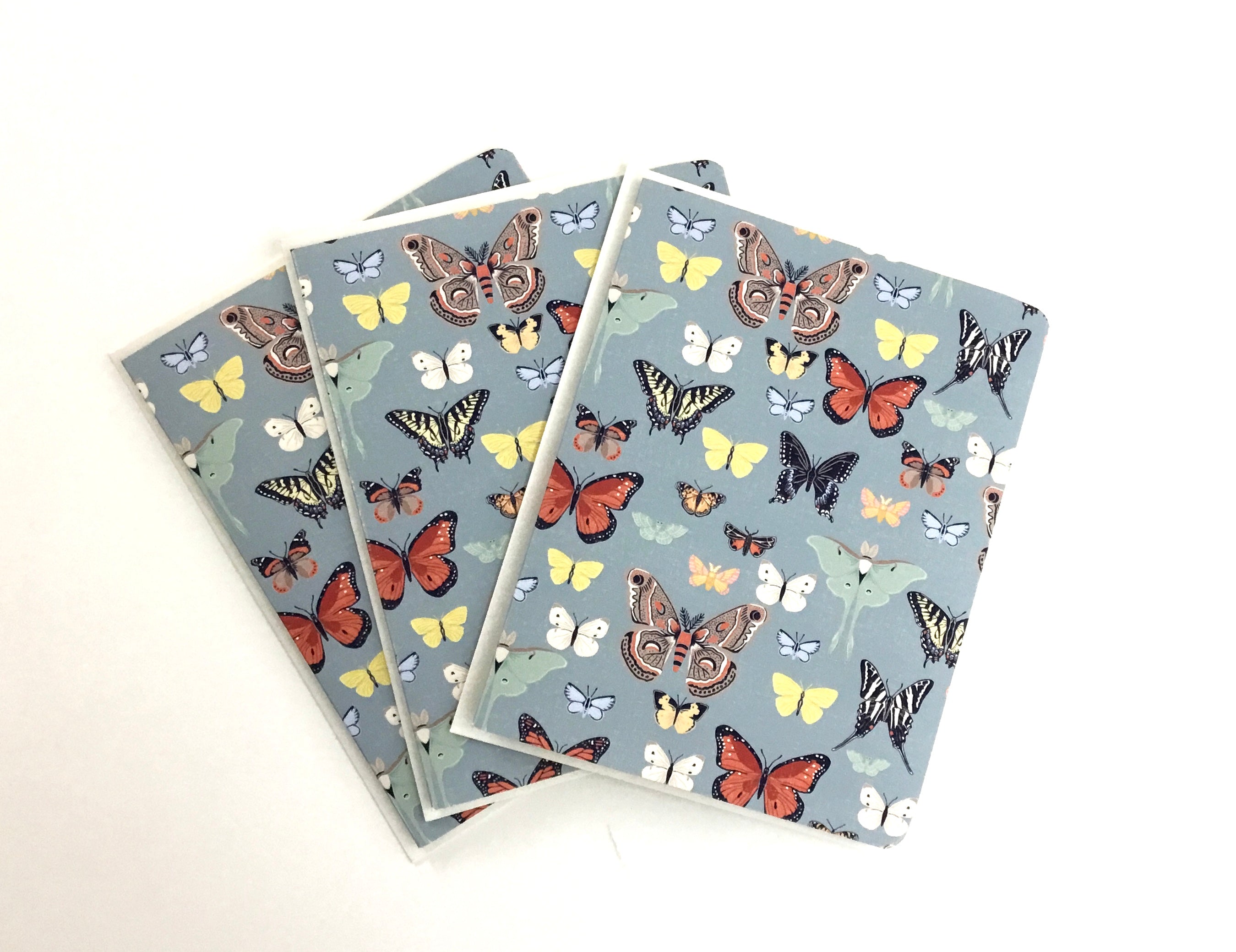 Specimen- Notecard, Set of 3