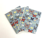 Specimen- Notecard, Set of 3