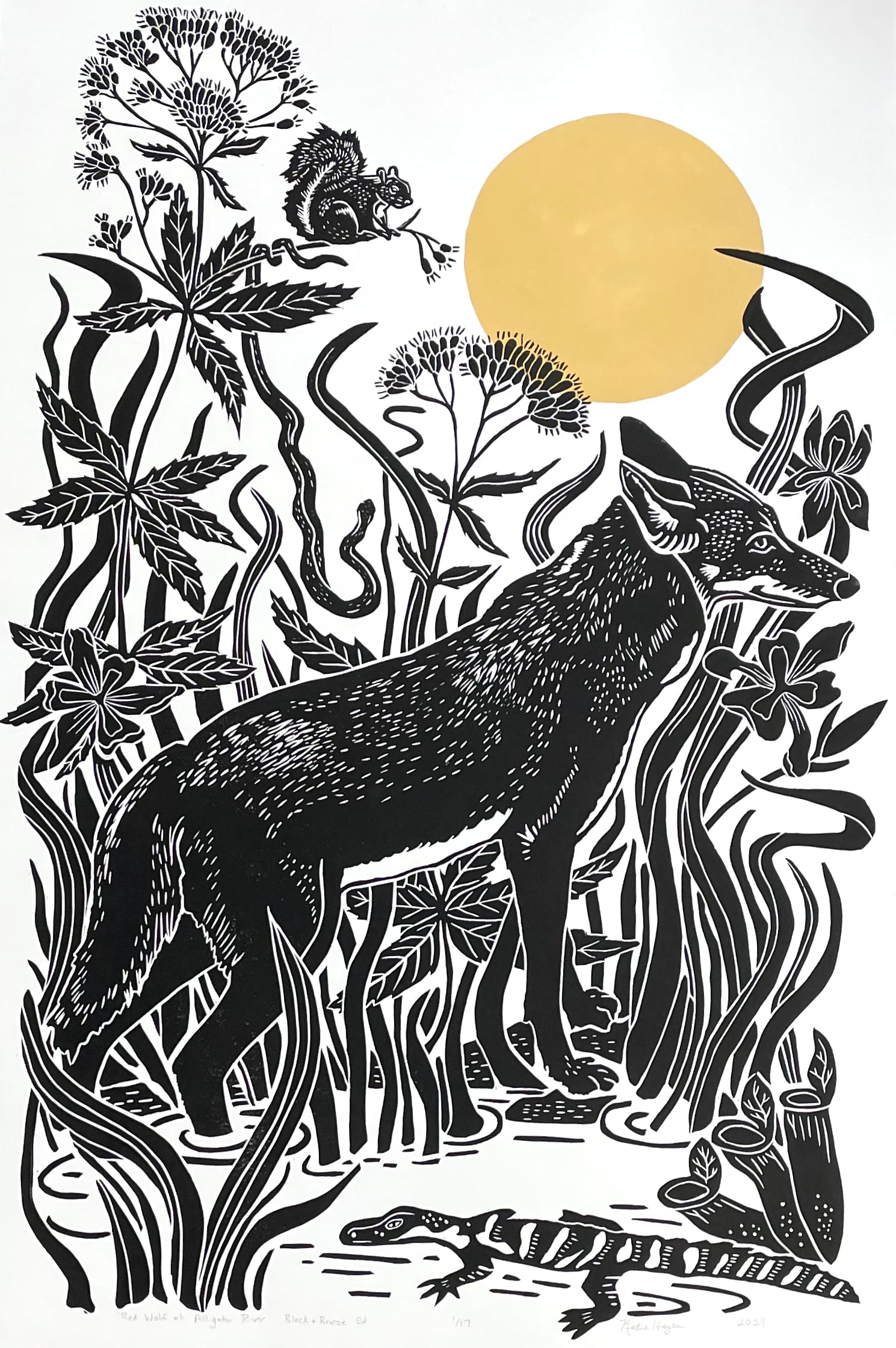 Red Wolf at Alligator River, Limited Edition of 17 Prints