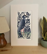 Yellow-Crowned Night Heron. Hand pulled with 13x19 mat