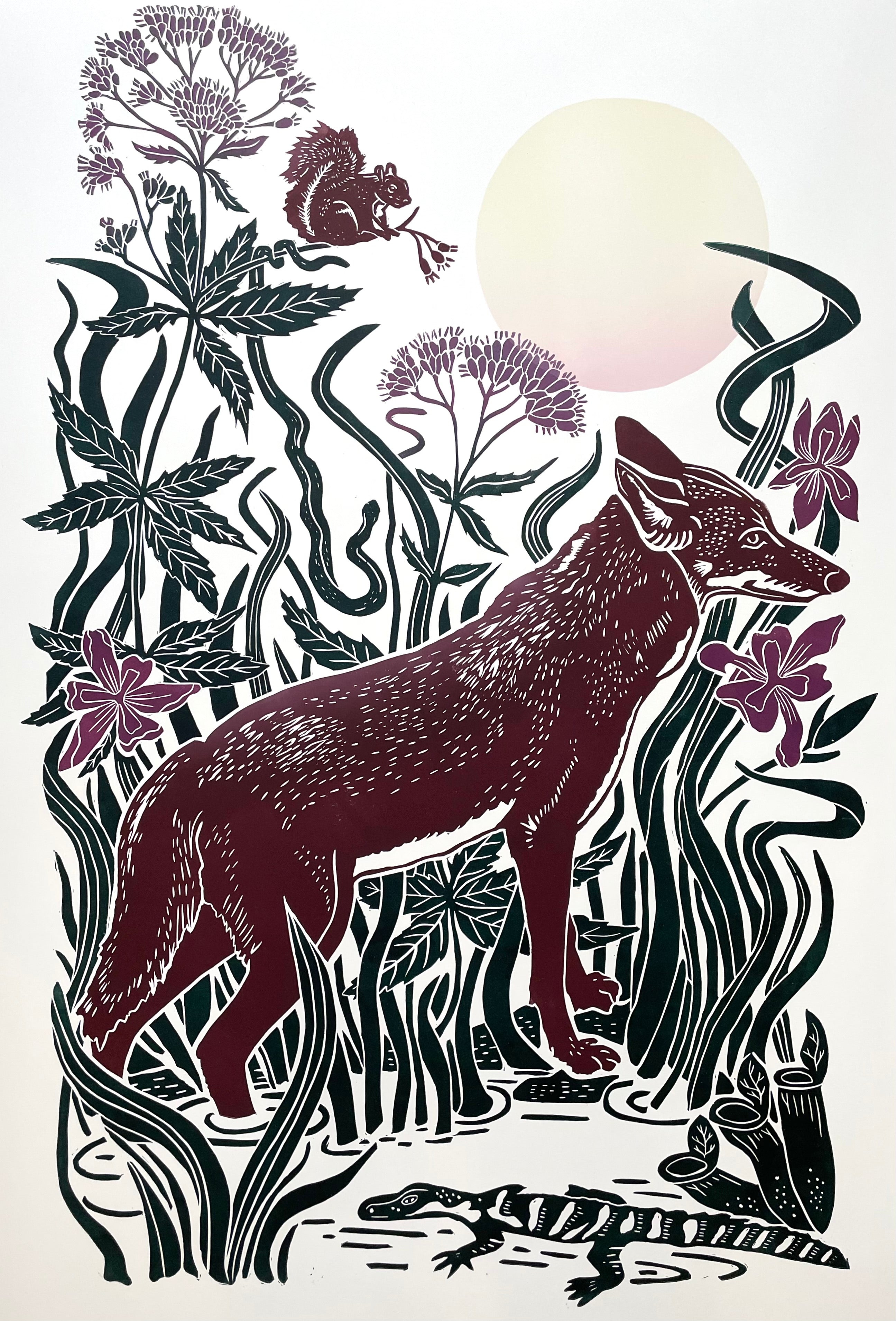 Red Wolf at Alligator River, Limited Edition of 17 Prints