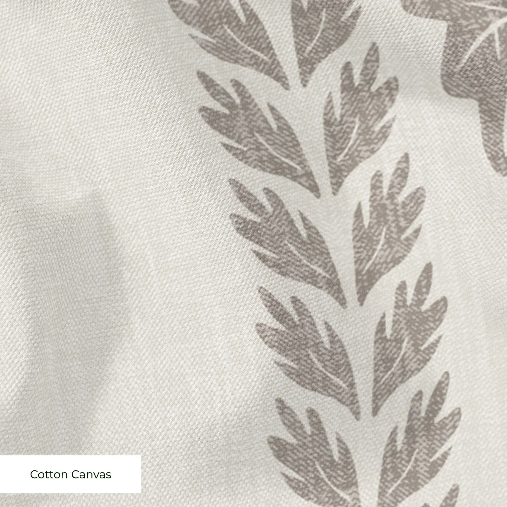  cohort1 cottoncanvas texture