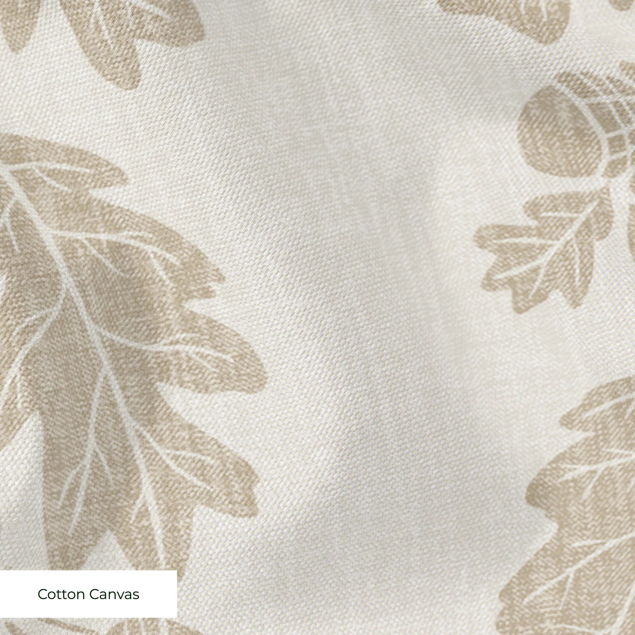  cohort1 cottoncanvas texture