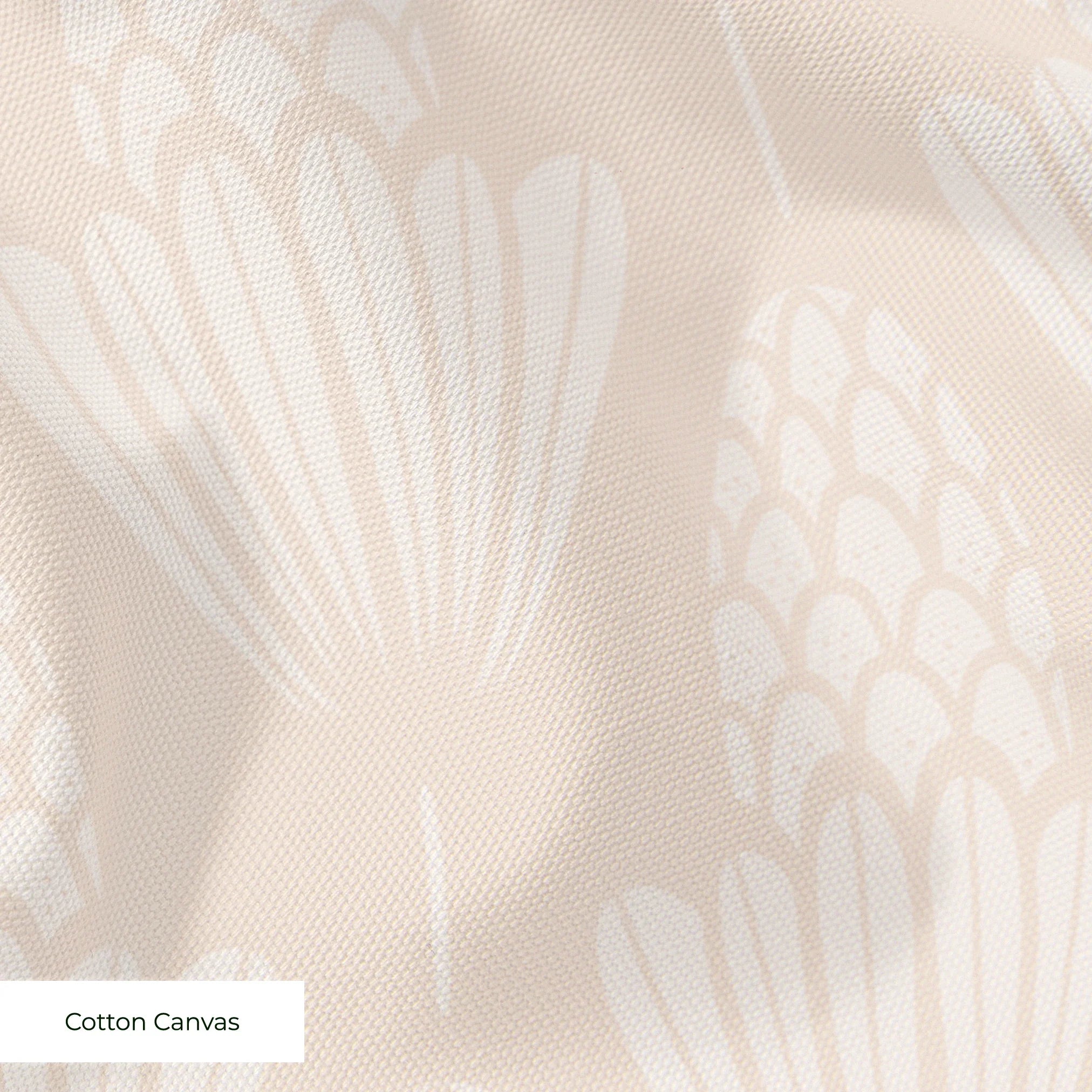  cohort1 cottoncanvas texture