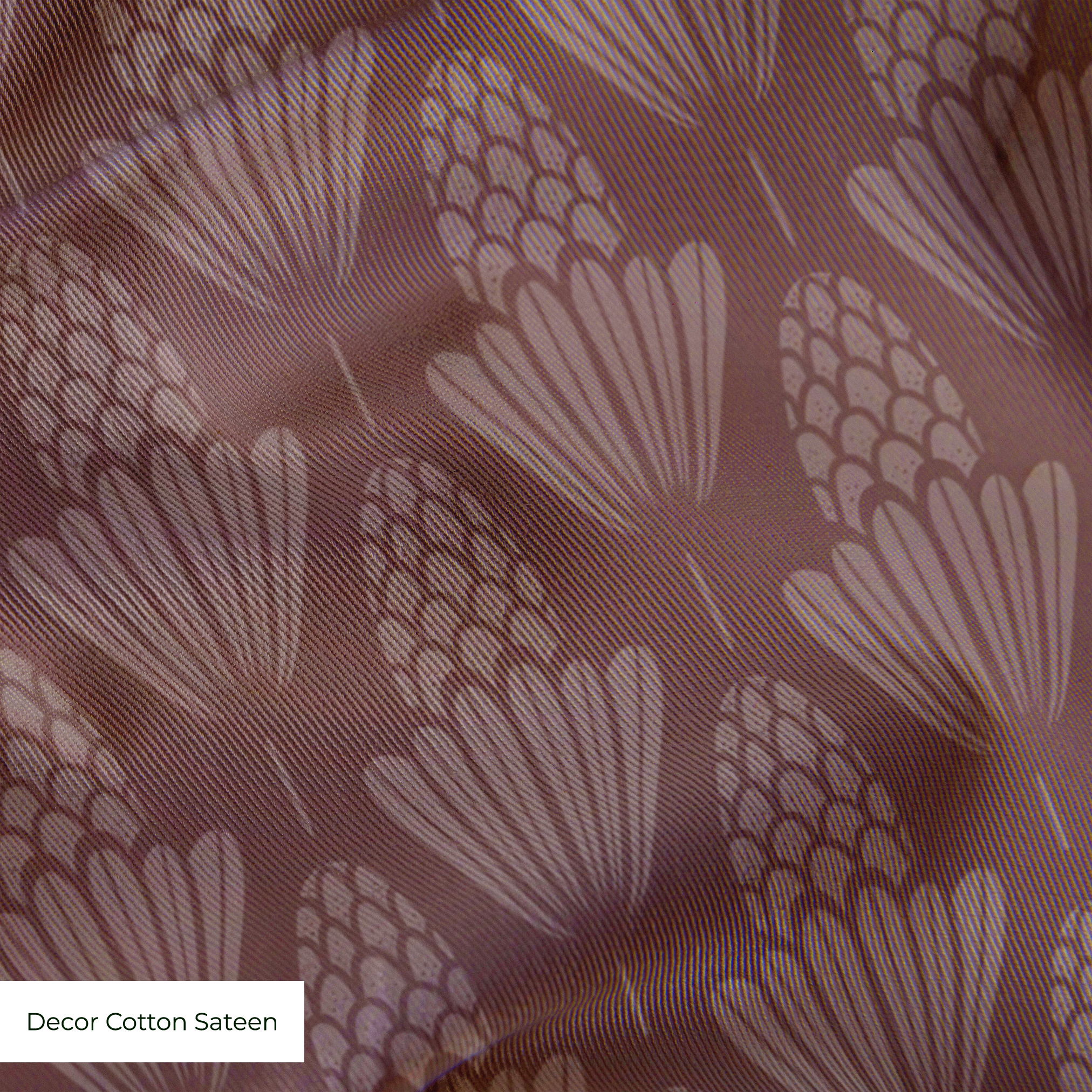 cohort1 cottonsateen texture