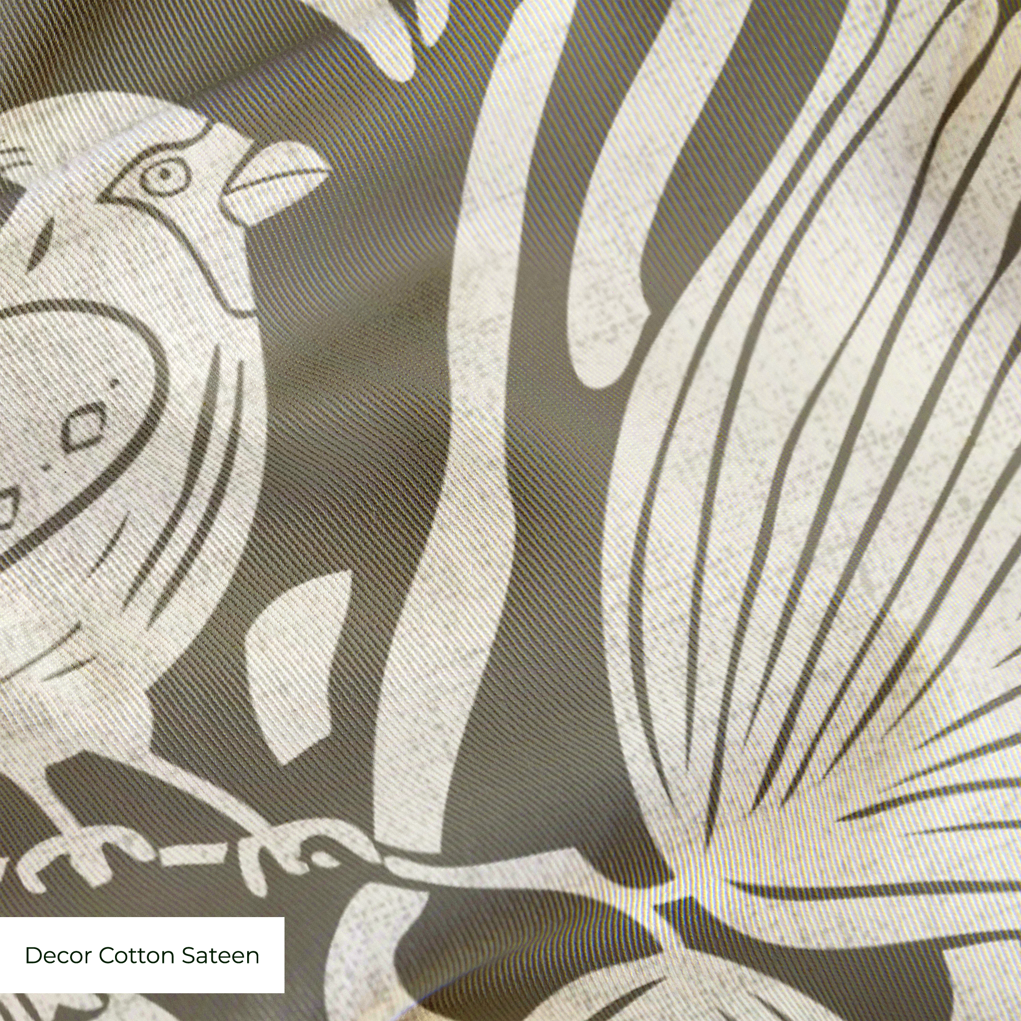  cohort1 cottonsateen texture