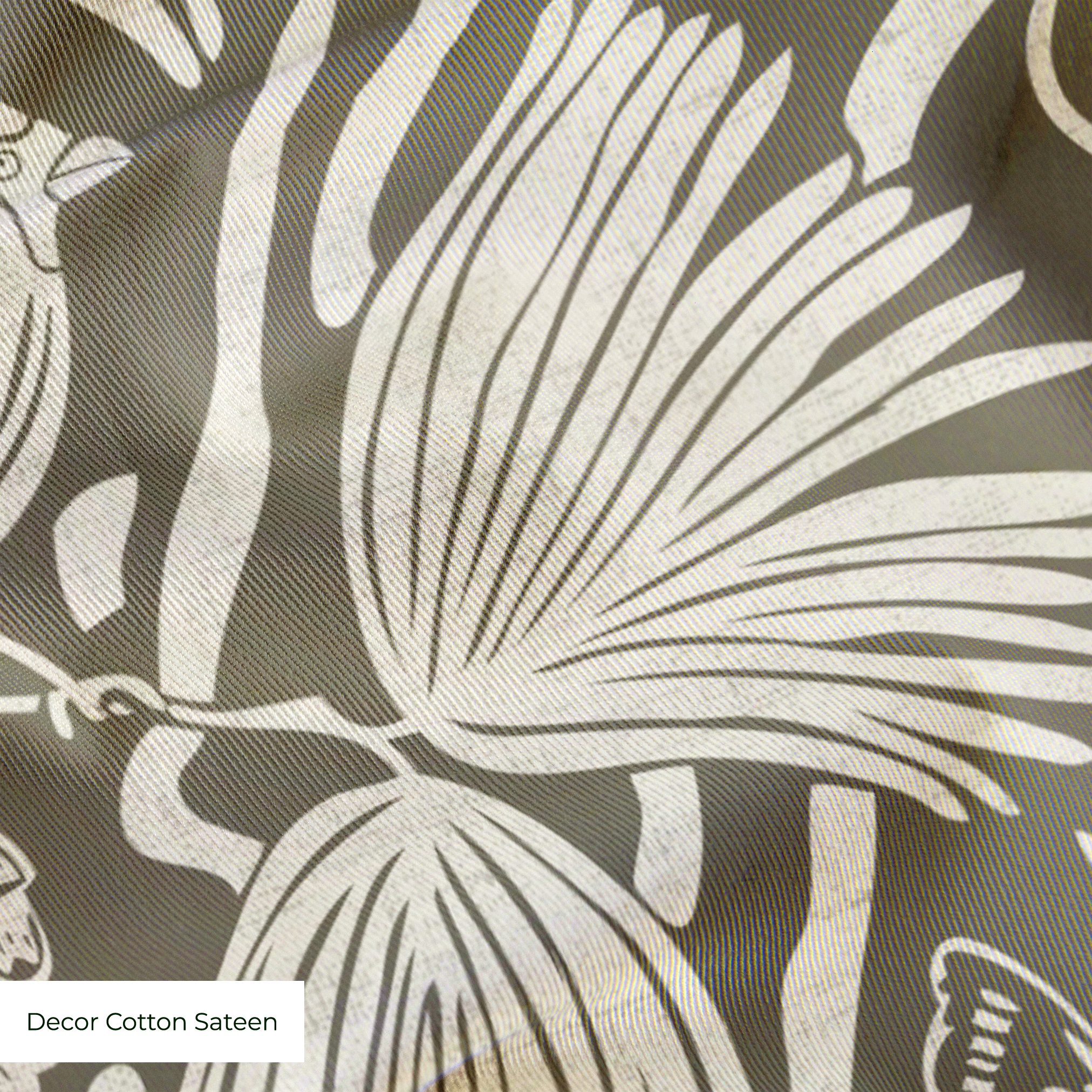  cohort1 cottonsateen texture